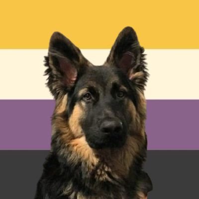 think_pant's profile picture. 