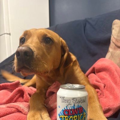 moosemarf124's profile picture. Cool girl, Huey Lewis fan