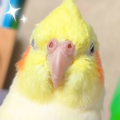 浯名作栖✨低浮上✨さんのプロフィール画像