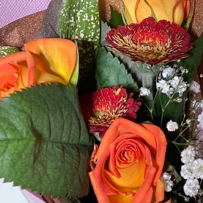 mitako16's profile picture. 