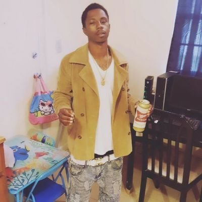 CEO of Black Rollin Stones LLC
CFO of MDollarG Inc.
Artist/ Manager/ Entrepreneur
Independent artist who owns a management company for black creatives.