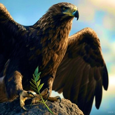 369SUGGESTION's profile picture. A promoter of alternative thoughts