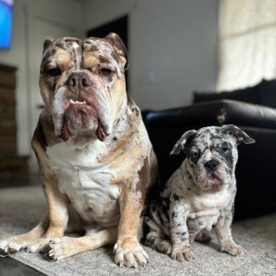 nate_bareno's profile picture. 