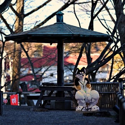 whitewolfblanc's profile picture. 犬工房様からきましたっ！！♪ イェソドです！！　よろしくお願いします！！♪ この頃また音ゲーにハマり始めてます...w 色々と...w