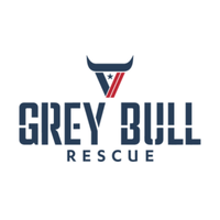 Grey Bull Rescue (@greybullrescue) 's Twitter Profile