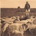 Mes Landes 40 (@40_mes17762) Twitter profile photo Mes Landes 40 (@40_mes17762) Twitter profile photo