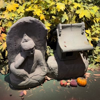 ただ、日本が好きなんです。人の心が清らかな古き良き日本に戻ってほしいんです。 神秘でちょっと変って思われるほんわかした日本カムバック🇯🇵