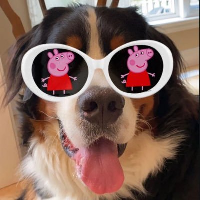 dwndog.bsky.socialさんのプロフィール画像