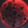 0x_askeladd's profile picture. none