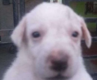 Lasnimble's profile picture. I love diesel knights fr diesel me up I'm a diesel head.