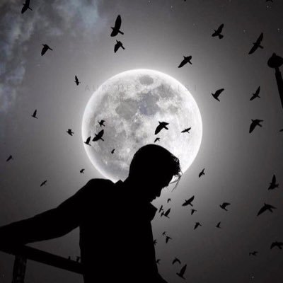 storiesVIP's profile picture. 