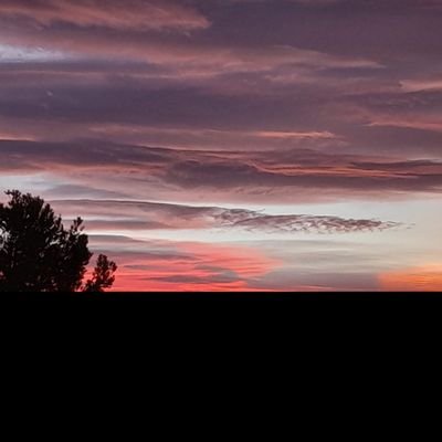 lusibajils's profile picture. 