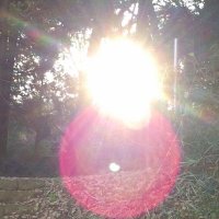 333 | daily quotes (@galactamelaqs) 's Twitter Profile