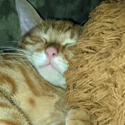 Daisy_555_'s profile picture. new