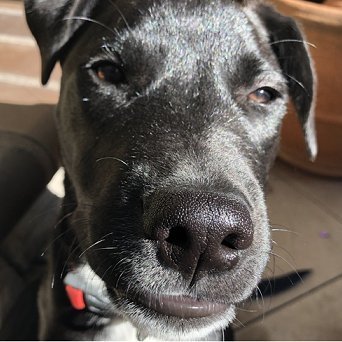 takeofuture's profile picture. 