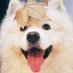 Jamison_gg (@gg_jamison1658) Twitter profile photo Jamison_gg (@gg_jamison1658) Twitter profile photo