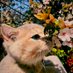 test (@test158560) Twitter profile photo test (@test158560) Twitter profile photo