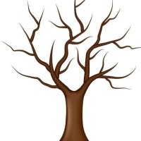 il emri (@dadale2225) 's Twitter Profile Photo