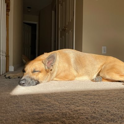 KyleHackman's profile picture. 