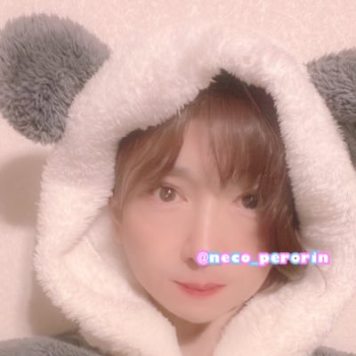蒼井 ね子 🩵☮️ しゃん 🐾さんのプロフィール画像