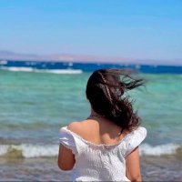 Noureen (@noureenfayed) 's Twitter Profile