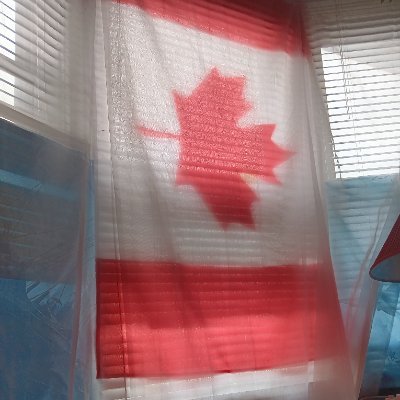 NancyMJ007's profile picture. 