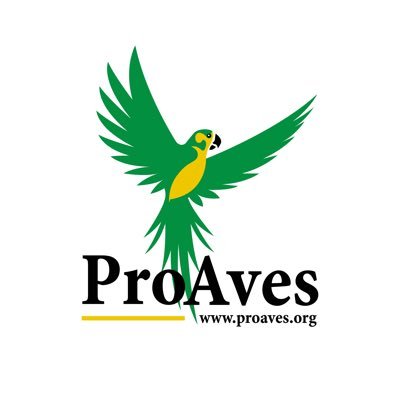 Somos una ONG, sin ánimo de lucro, que enfoca sus esfuerzos hacia el estudio de las aves y la conservación de su hábitat.