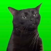 Phil (@dagan_matthew2) 's Twitter Profile