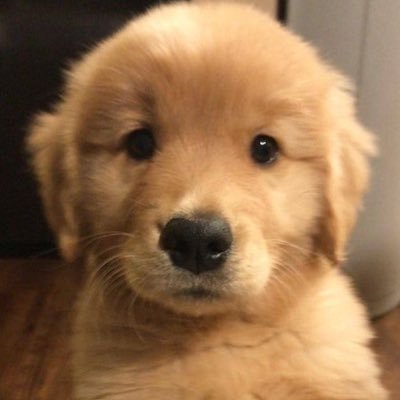 onen1neoct's profile picture. when my life is fuck up, just skz