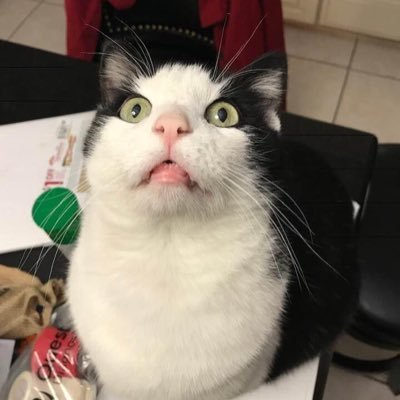 Fuck Trump, Fuck Musk. Fuck the GOP. Don’t eat animals.