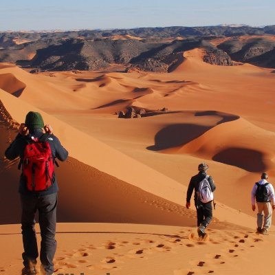 samiseif535610's profile picture. 