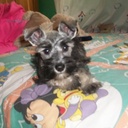 natalia monroy - @MonroyNatalia - Twitter