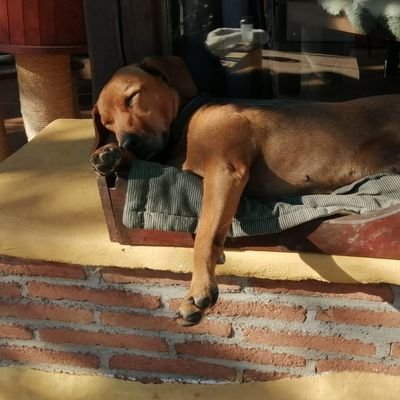 Duberneyav's profile picture. Olvida a Jesús, olvida a Buda, olvida incluso mis palabras. Si dependes de alguien, jamás serás libre