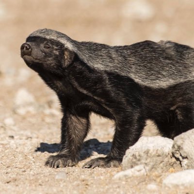_ashworth888's profile picture. NFA :) Crypto research 🧐  DEGEN