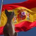 𝑆𝑟𝑡𝑎. 𝐵𝑖𝑚𝑏𝑎🇪🇸 (@srta_bimba) Twitter profile photo 𝑆𝑟𝑡𝑎. 𝐵𝑖𝑚𝑏𝑎🇪🇸 (@srta_bimba) Twitter profile photo