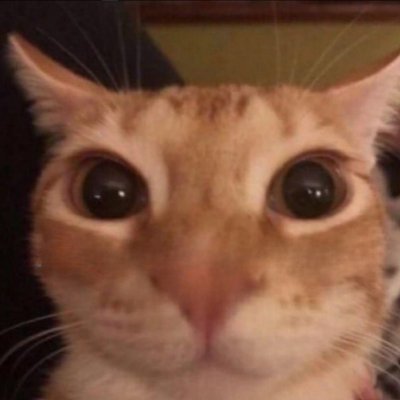 @pants_xd