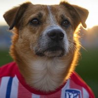 Saulismo (@saulismo_17) 's Twitter Profile Photo Saulismo (@saulismo_17) 's Twitter Profile Photo