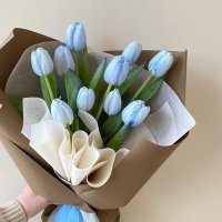 فخر عتيبية (@ppnt__alm) 's Twitter Profile