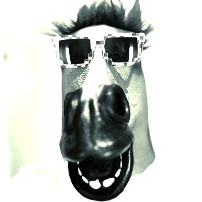 babyscaphe's profile picture. builder, investor.