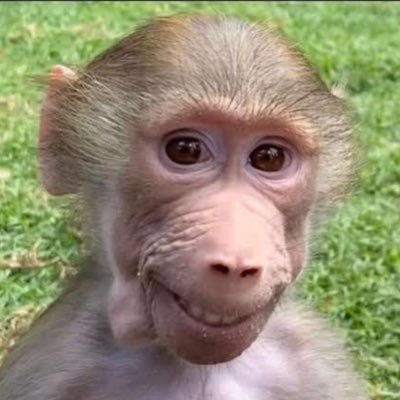 wjones1701's profile picture. 20