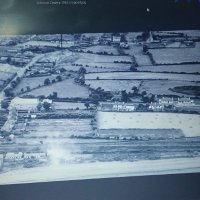 HOI POLLOI (@peterho08321766) 's Twitter Profile