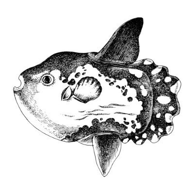 princess_symmy's profile picture. @symmy_symp