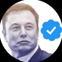 ELON FAN CHAT (@elomusk79) 's Twitter Profile