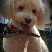 Gloria González (@gloriag89668633) 's Twitter Profile Photo