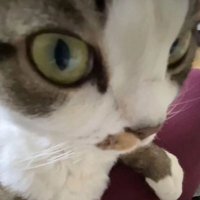 π€π» (@abcdrwr) 's Twitter Profile