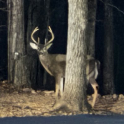 DellB277's profile picture. 