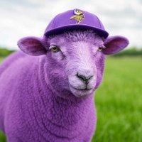 SheepVikings (@vikingssheep) 's Twitter Profile Photo SheepVikings (@vikingssheep) 's Twitter Profile Photo