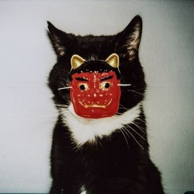 catjuca's profile picture. *🏳️‍⚧️*                                                                              hAcKeD bY aNgEL oF tHe NiGhT                     

 @stayrelaxedd_444