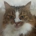 irem (@imnotirem) Twitter profile photo irem (@imnotirem) Twitter profile photo