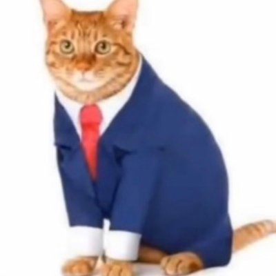 _danefn's profile picture. 19